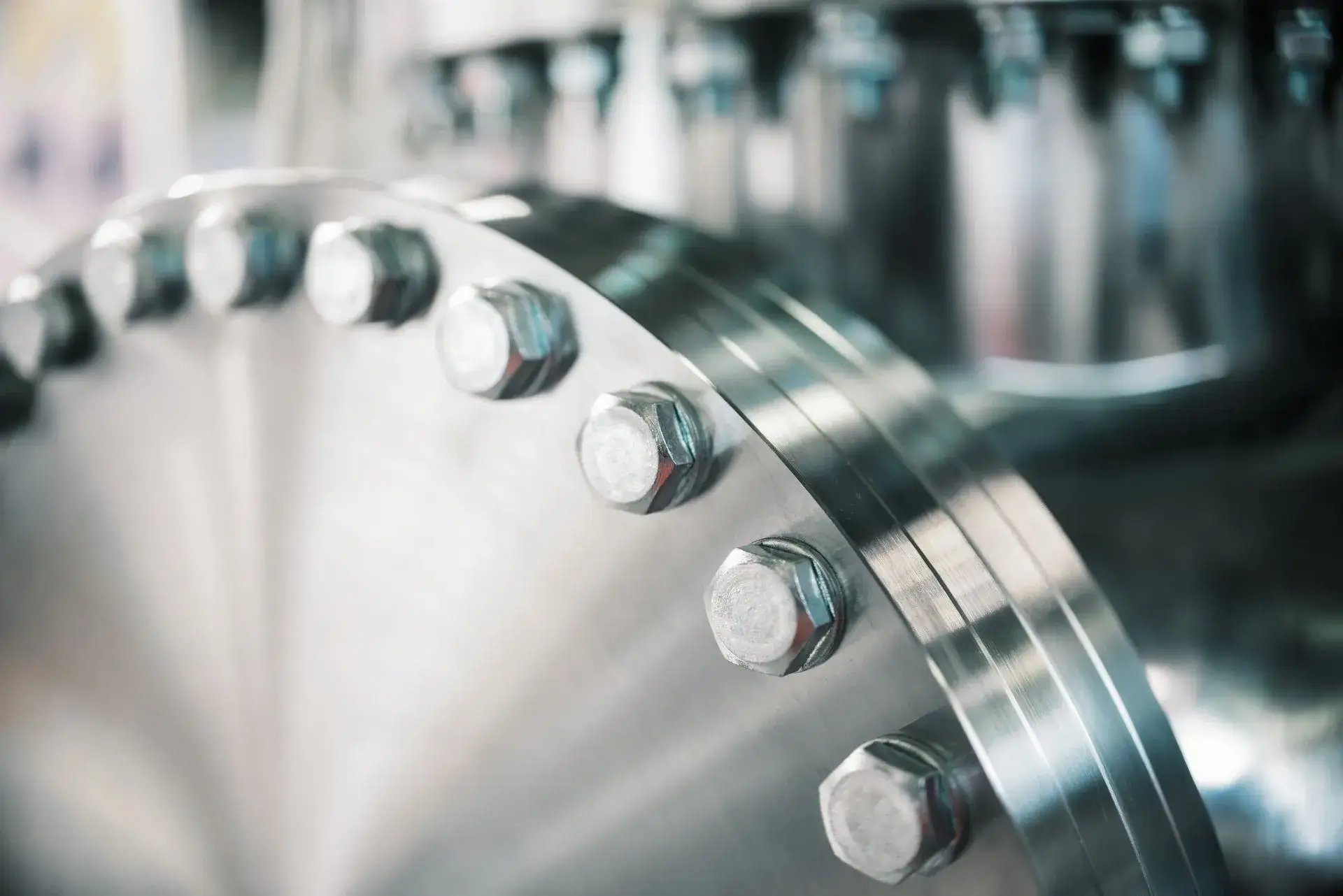 Stainless Steel Flanges