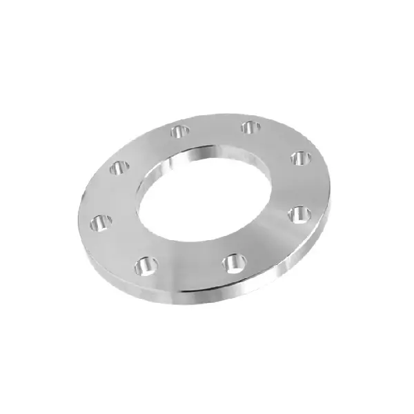 Stainless Steel Flange Stainless Steel Flange