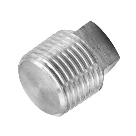   DN15 (1/2" NB) BSPT 6000 SERIES SQUARE HEAD PLUG SS 316