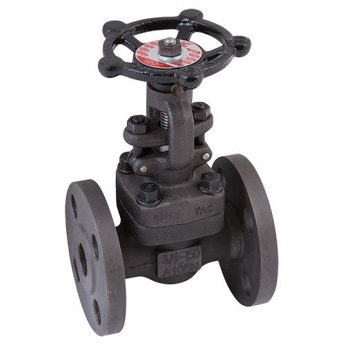 [CS-VAL-25-GLO-P40-800] DN25 PN40 FLANGED CLASS 800 A105N NO.8 TRIM REDUCED BORE FS GLOBE VALVE