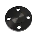 [CS-NB-FLA-20-RF-BLA-P40-A105N] DN20 (3/4" NB) PN16/25/40 RF BLIND FLANGE CS A105N