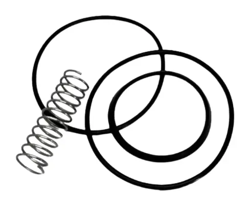 1.00" OD HYG NRV SEAL KIT, EPDM & SPRING
