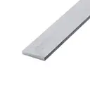 [SS-FLAT-60-5-304] 60 X 5MM STAINLESS STEEL FLAT BAR GR. 304