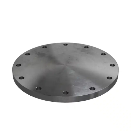 [CS-NB-FLA-200-FF-BLA-P16-S235JR]  DN200 (8" NB) PN16 FF BLIND FLANGE CS S235 JR