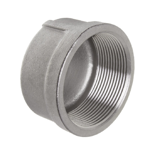 [SS-NB-BSP-150-RCAP-10-316] DN10 (3/8" NB) BSP 150# ROUND CAP SS 316